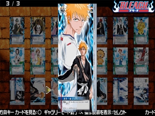 Bleach: Heat the Soul