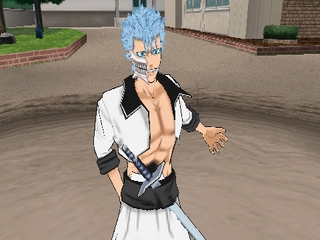 Bleach: Heat the Soul 7