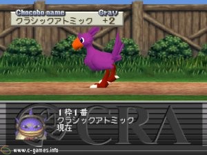Chocobo Stallion