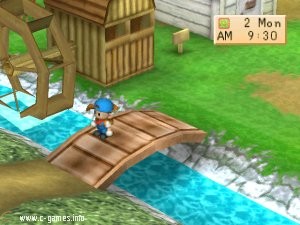 Harvest Moon: Back To Nature (Bokujou Monogatari Harvest Moon)