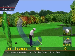 PGA Tour 96