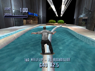 Tony Hawk's Pro Skater (Tony Hawk's Skateboarding)