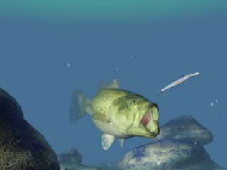 Bass Tsuri ni Ikou! Let's Go Bassfishing!