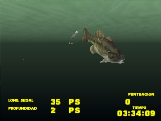 Big Bass Fishing