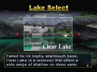 Championship Bass