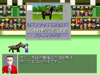 King of Stallion