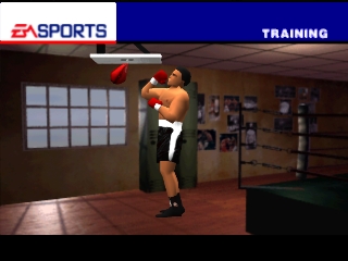 Knockout Kings 99 (Box Champions)