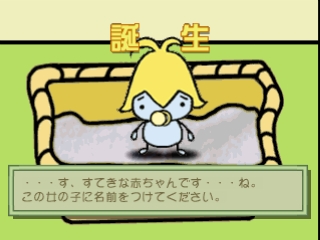 Komocchi