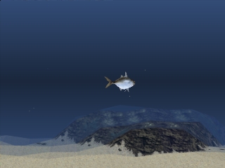 Reel Fishing II (Fish Eyes II)